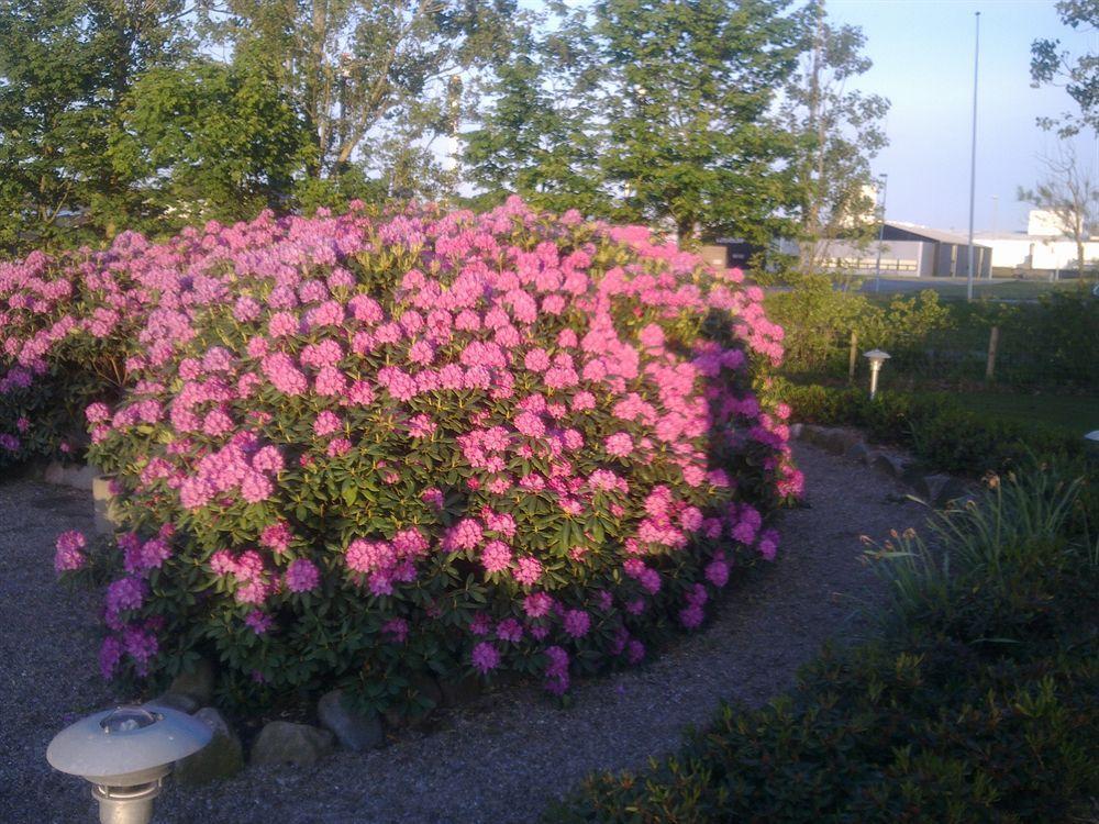 Hotel Hotel Varde